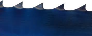 Wintersteiger Flex Back